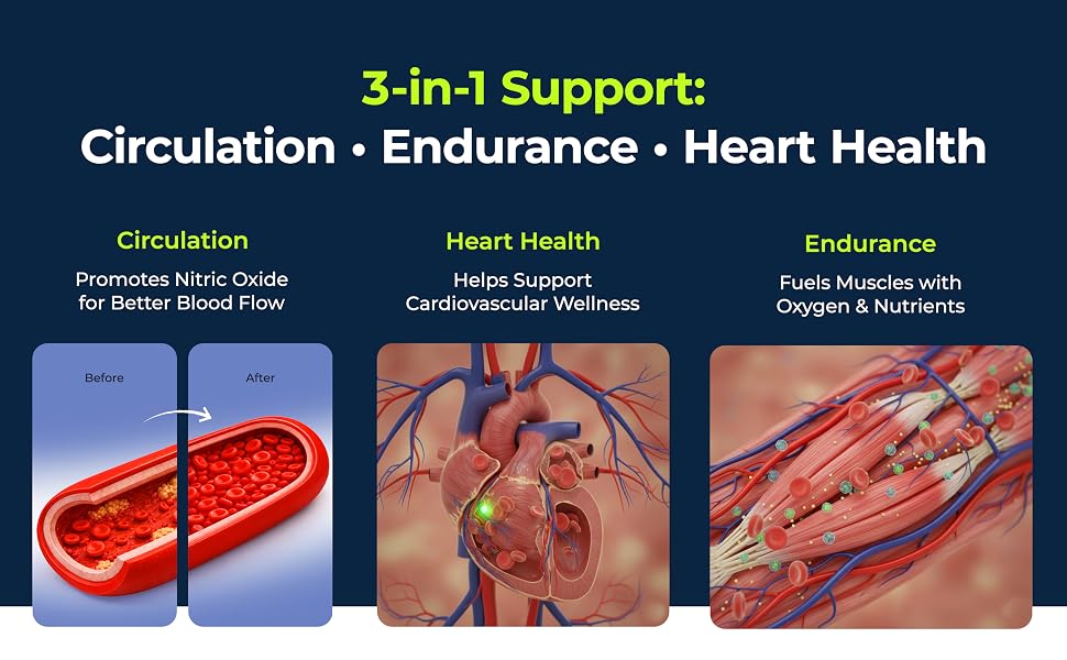 3-in-1 support circulation, endurance, heart health