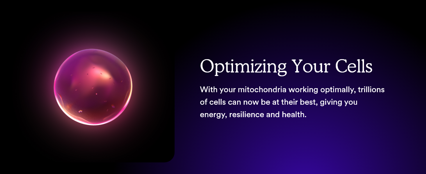With mitochondria working optimally, trillions of cells perform at their best supporting energy.