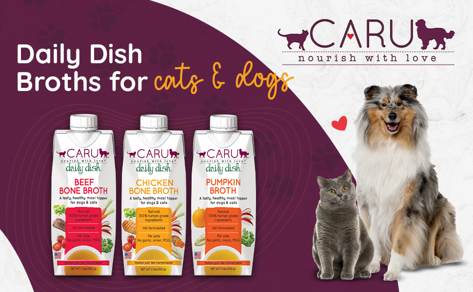 caru daily dish broth