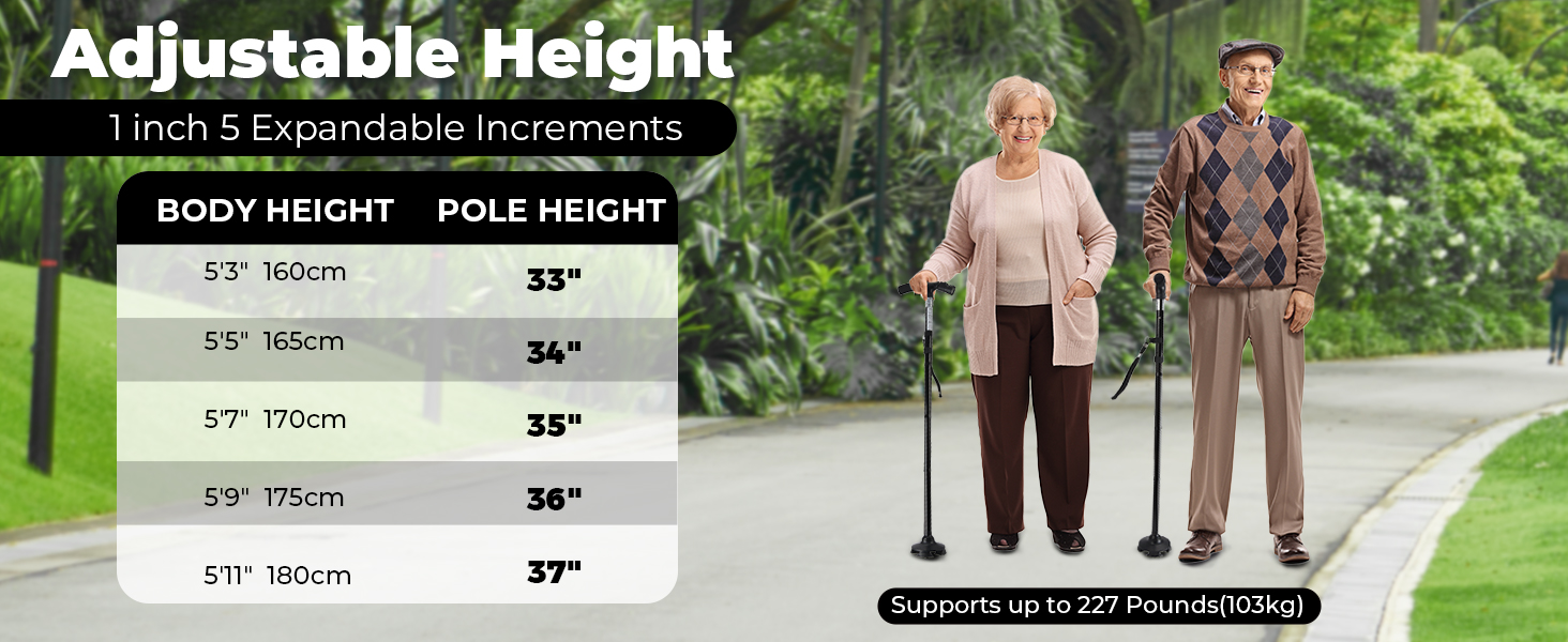 foldable walking stick
