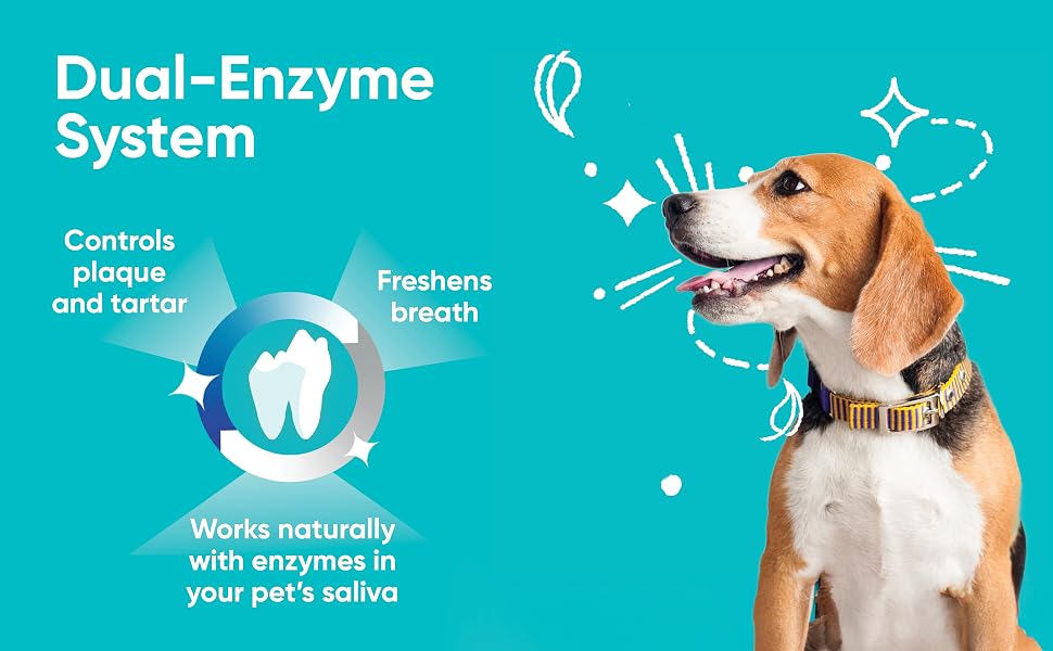 Dual Enzyme