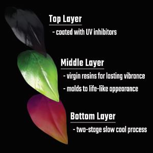 RealLeaf Technology