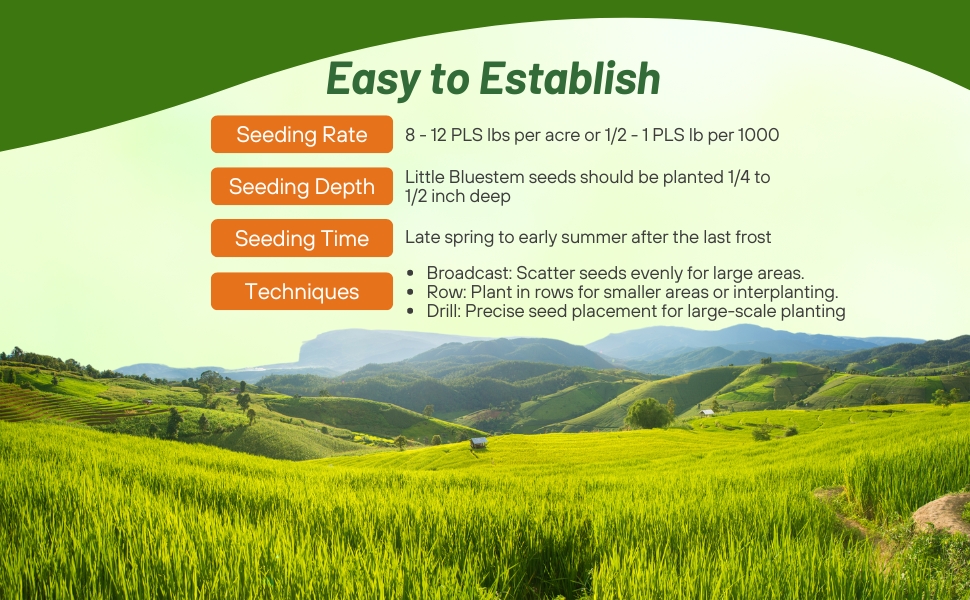 Seeding Rate &amp;amp; Planting Time For LIttle Bluestem