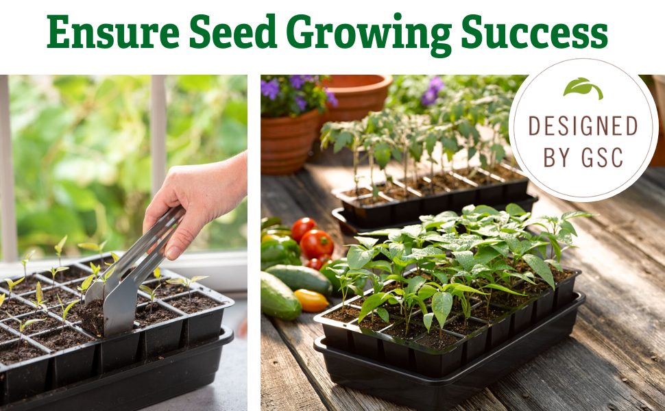 seed starting