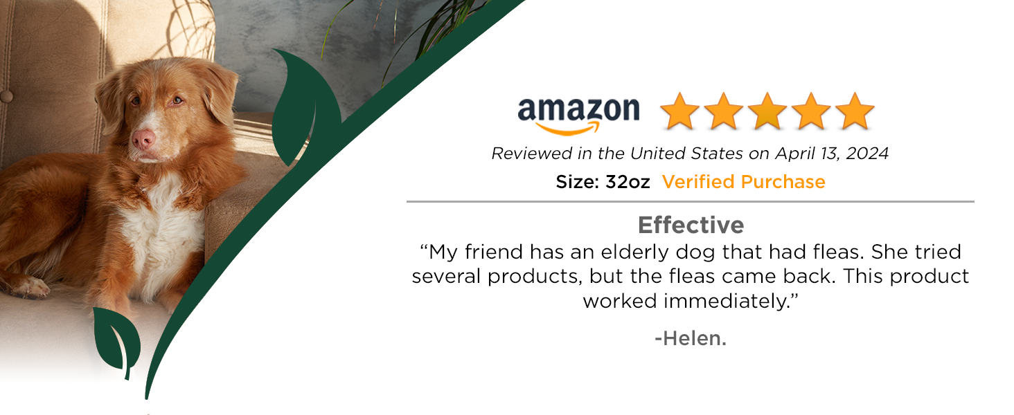 customer review 4