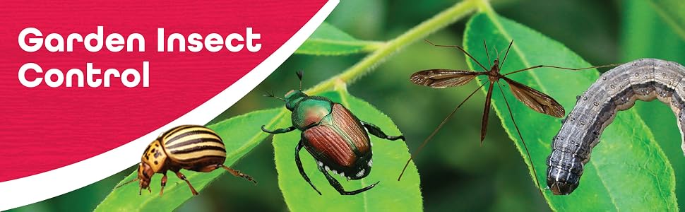 Garden Insect Control Banner with Images of imsects, beetles and caterpillars on plants
