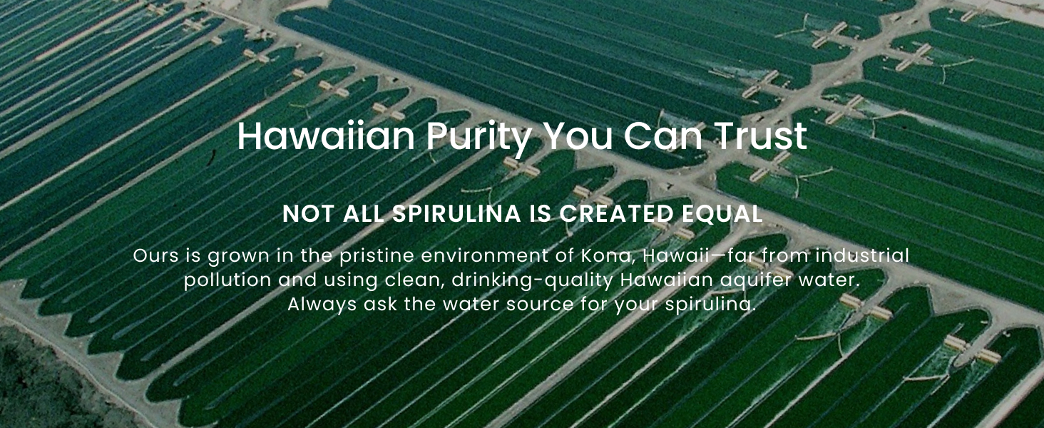 Spirulina 180 Tab Banner 5