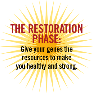 The Restoration Phase: Give your genes the resources to make you healthy and strong