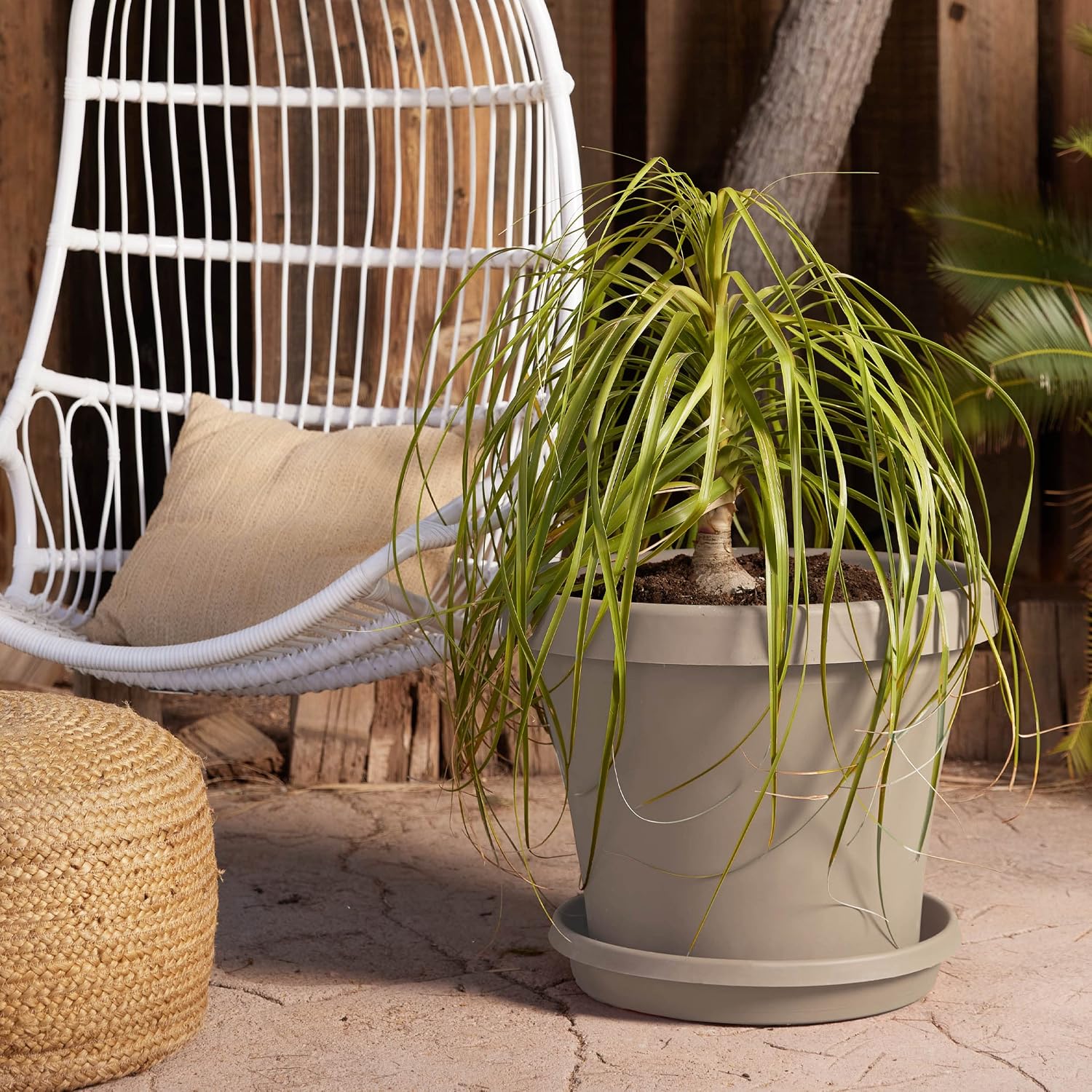 Bloem Terra Pot Planter: 20" - Terra Cotta - Durable Resin Pot, for Indoor and Outdoor Use, Gardening, 13.5 Gallon Capacity, Saucer Sold Separately