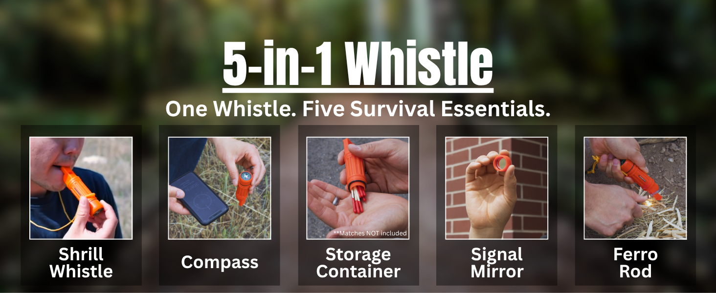 Whistle