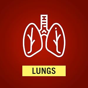 Lungs