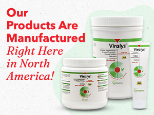 lysine powder