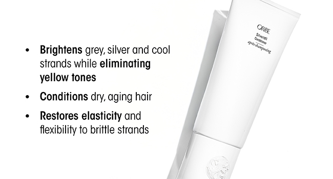 Silverati Conditioner Product Benefits