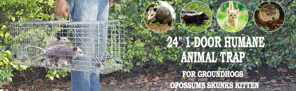24“ animal trap cage