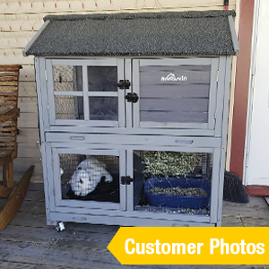 rabbit hutch