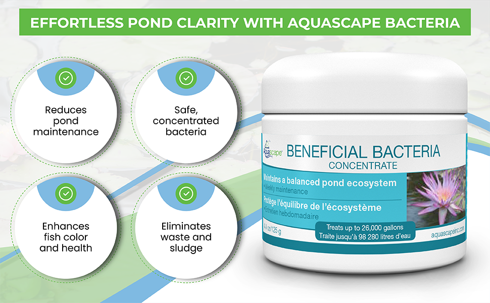 Beneficial Bacteria Concentrate