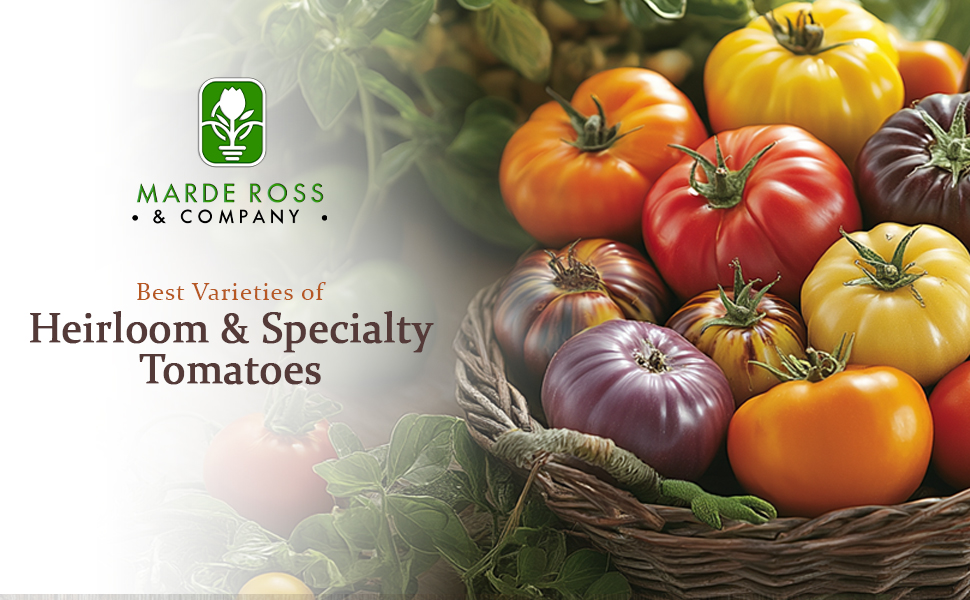 Best Varieties of Heirloom &amp; Specialty Tomatoes