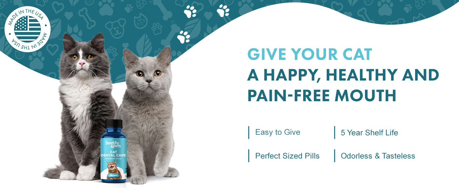 Cat Dental Health Oral Health For Cats Best Life 4 Pets Bad Breath Pills Fresh Breathe Pills for cat