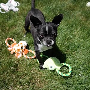 tug-a-mal lifestyle