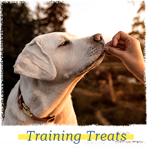 food for dog training