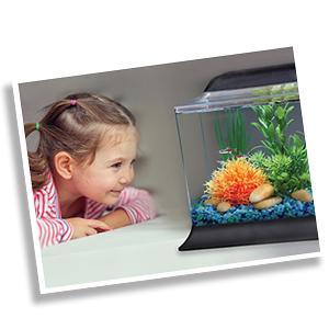 glo fish aquarium kit fish food vacation saltwater fish food fish tank water conditioner tropical fi