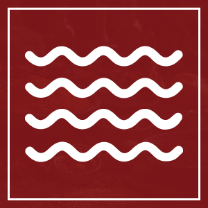 flavor icon