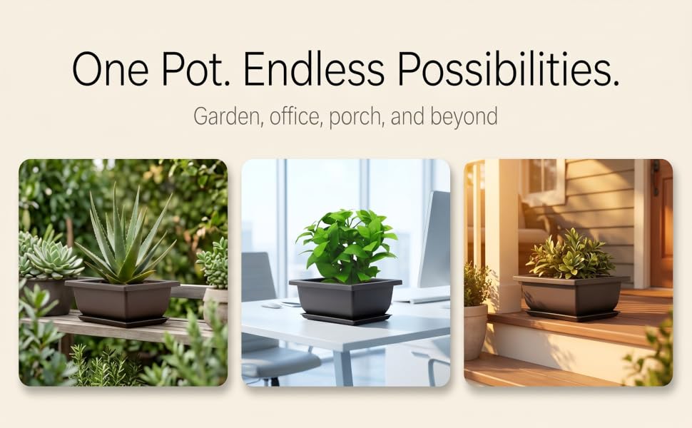 Bonsai Training Pots with Trays