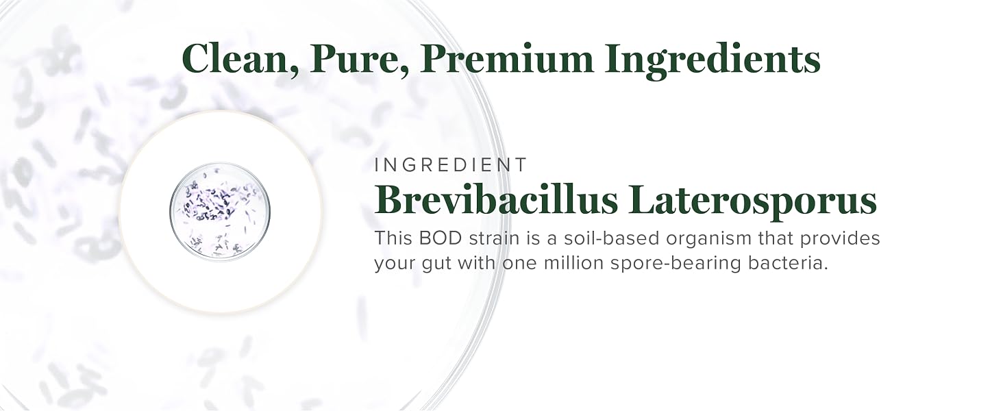 happy v prebiotic and probiotic complete probiotics platinum quad biotic mood probiotics