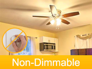 ceiling fan bulb