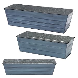blue flower window boxes