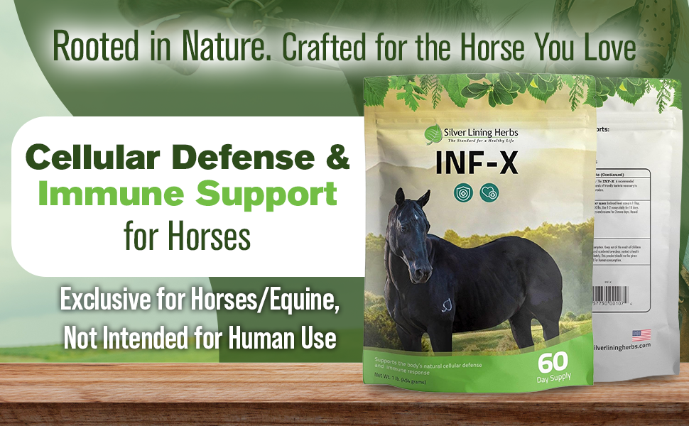 Silver Lining Herbs INF-X Horse Immune Support Powder Herbal Equine Immune Supplement