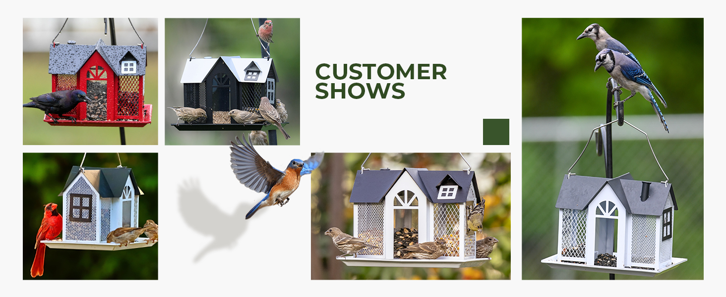 bird feeder
