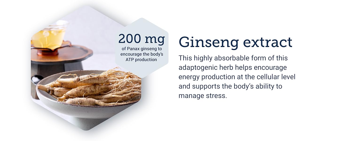 mood, root, supplement, mitochondrial, antioxidant, endurance, chinese, blood, stream,