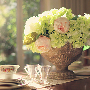 green hydrangea