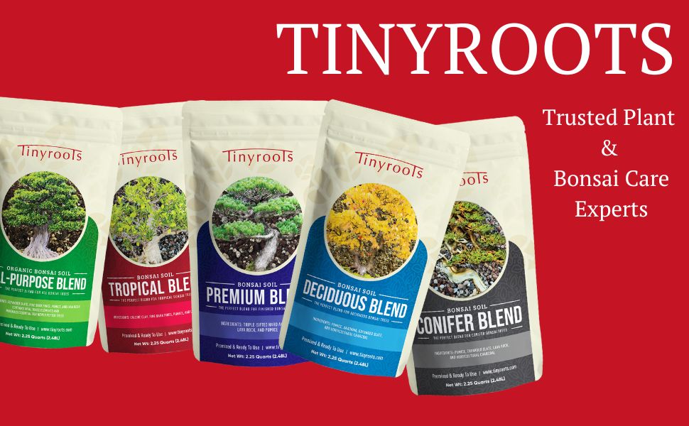 tinyroots bonsai soil suelo de bonsái
