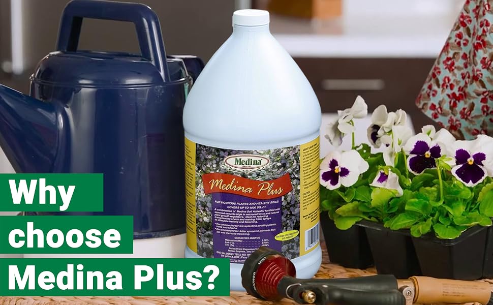 why choose medina plus