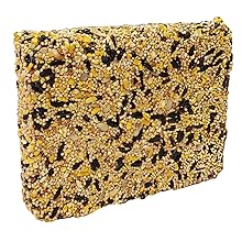 Wild Bird Blend Seed Bar