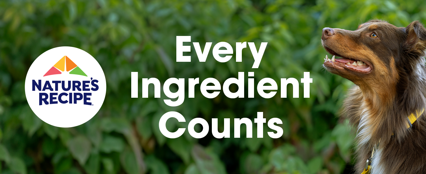 Every ingredient counts with dog and Nature&amp;#39;s Recipe logo