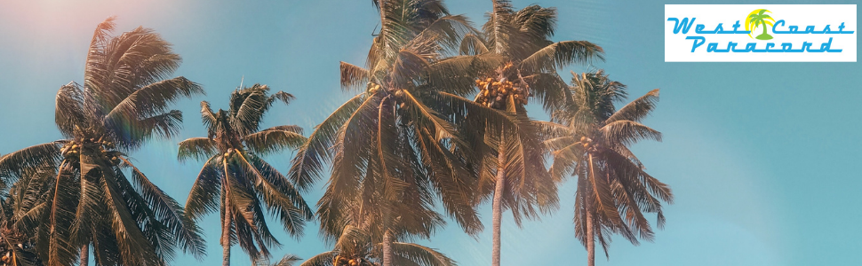 Palm Trees