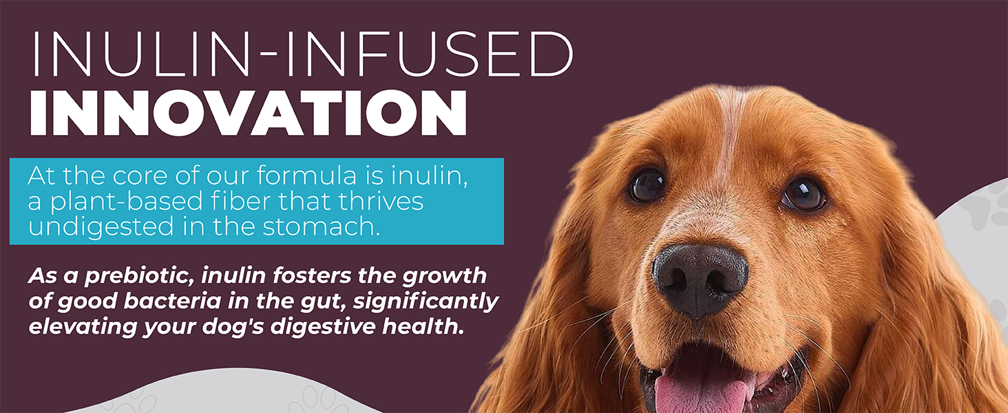 Canine Probiotics for Healthy Gut Pet Probiotics with Inulin
