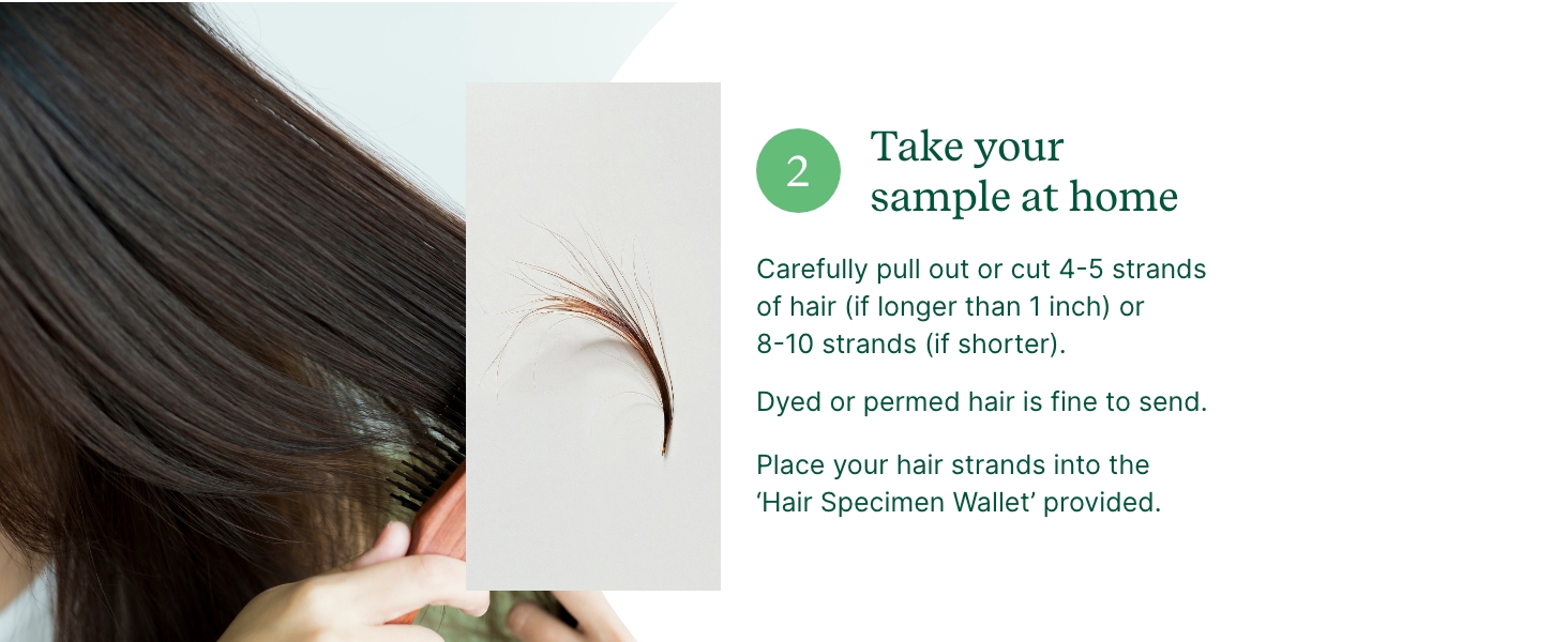 Combing hair with a closeup of strands shown alongside instructions for a body intolerance test