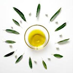 olive leaf
