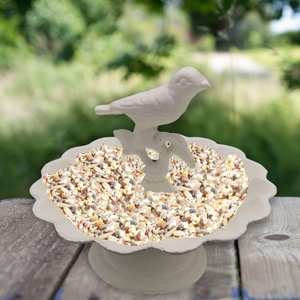 bird feeder