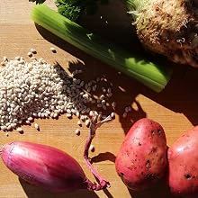 Organic-robust-barley-seed organic-barley barley-seed seed seed-for-planting ancient-grain grain