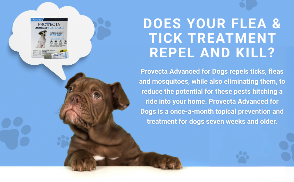 Provecta for Dogs
