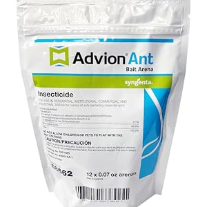 advion ant station