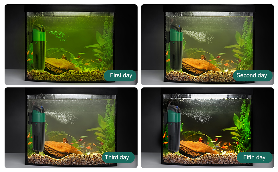 COODIA AQUARIUM GREEN WATER