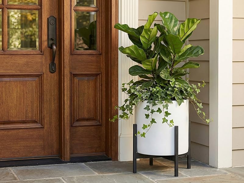 14 inch extra large white fiberstone floor planter with metal stand for entryway fiddle leaf fig.