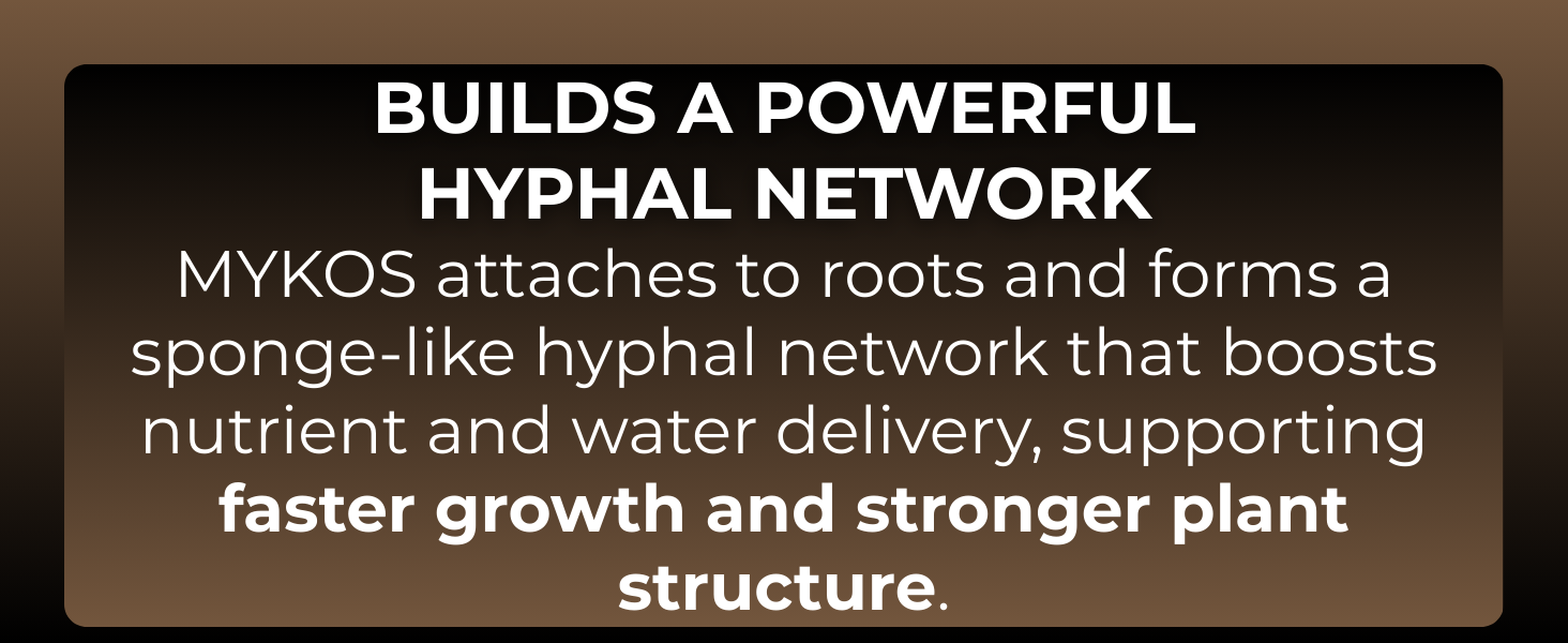 xtreme gardening mycorrhizae mycorrhizal fungi