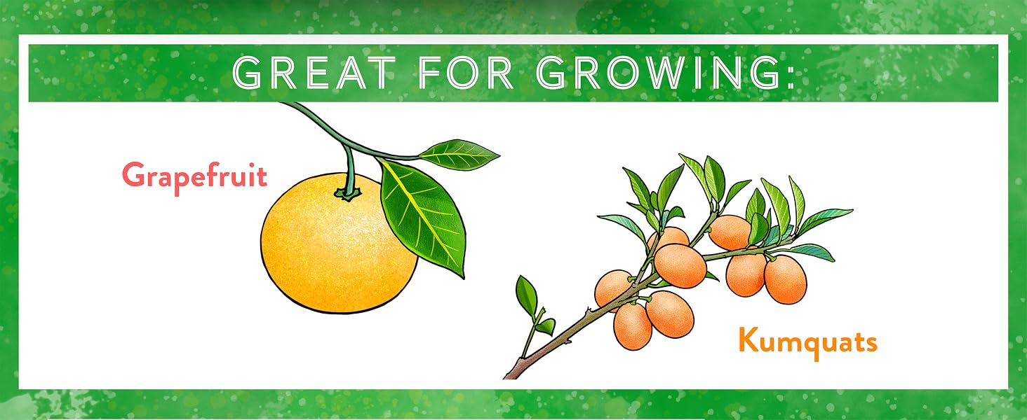 Citrus Mix 3e